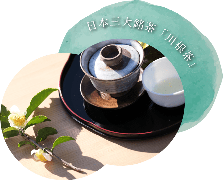 日本三大銘茶「川根茶」