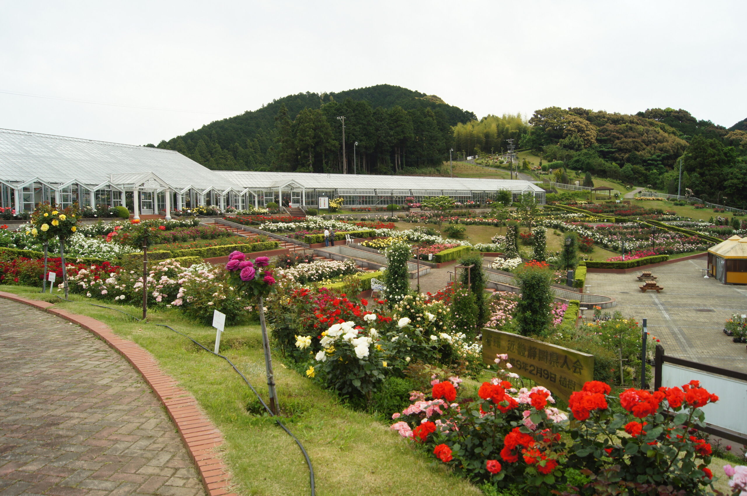 島田市ばらの丘公園 大井川でやるべき100のこと